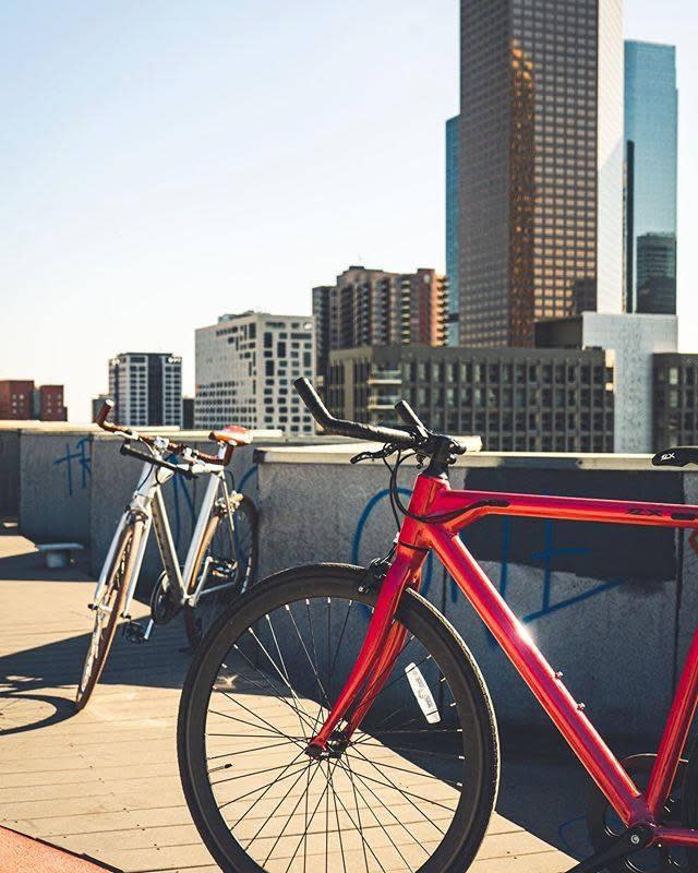 FLX Babymaker Electric Bike in LA