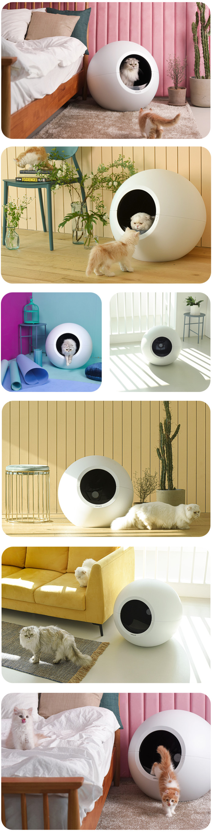 Circle Zero ZeroOdor SelfCleaning Litter Box Indiegogo