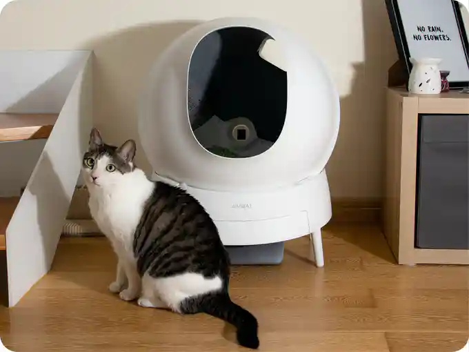 Get an Automatic Litter Box on IndieGoGo