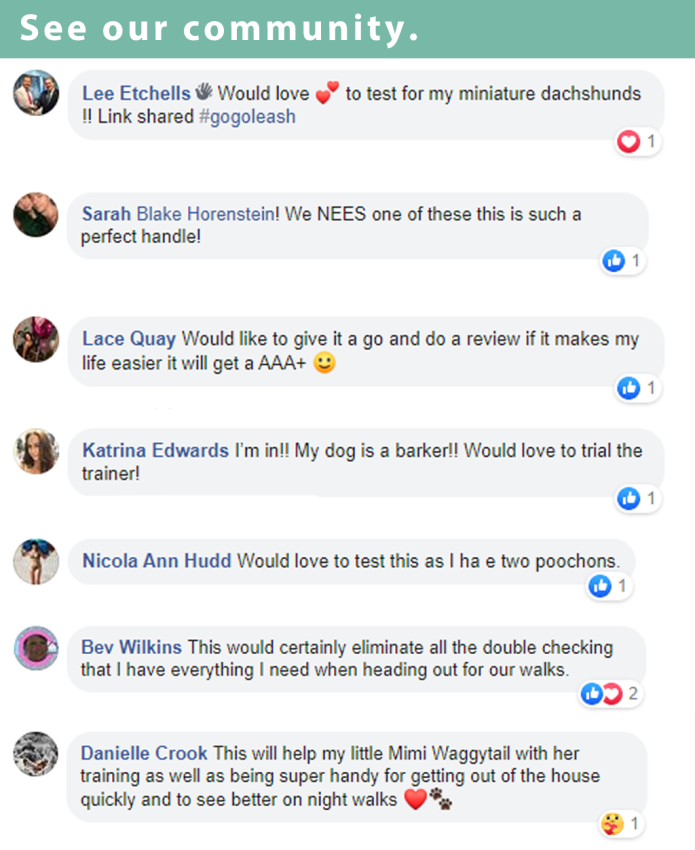GoGoLeash AllinOne Dog Leash and Collar System Indiegogo
