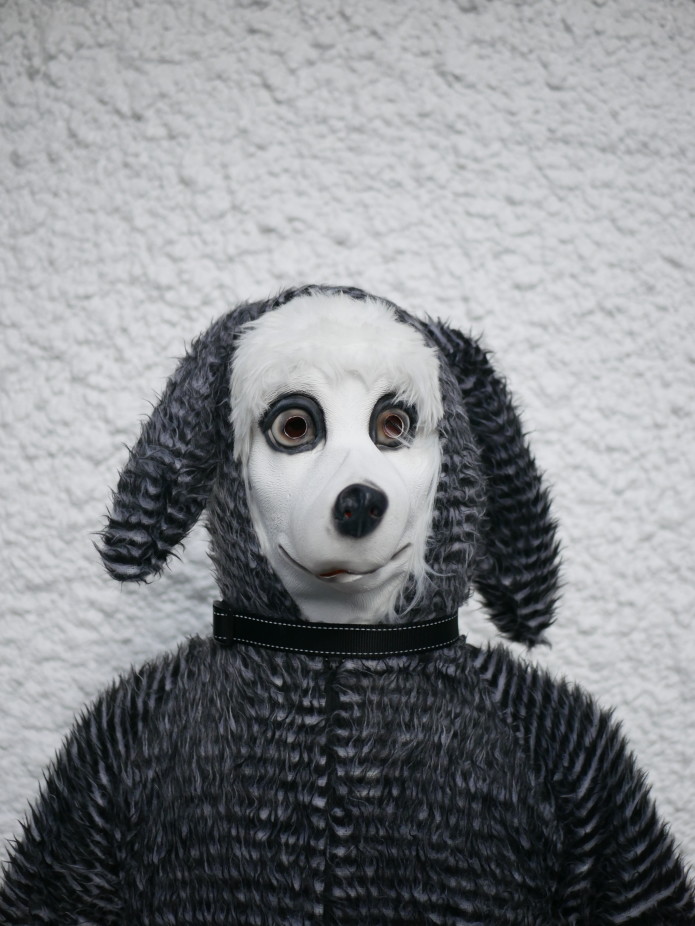 Me, You & Frank A Feature Thriller Indiegogo