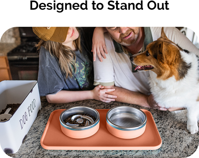 Slow Your Dog Down with the Trot Puzzle Feeder