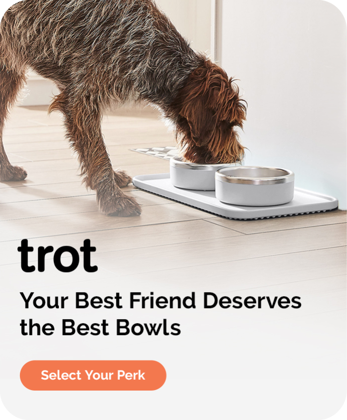 Slow Your Dog Down with the Trot Puzzle Feeder