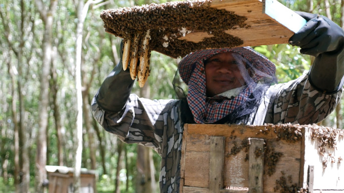 living-with-bees