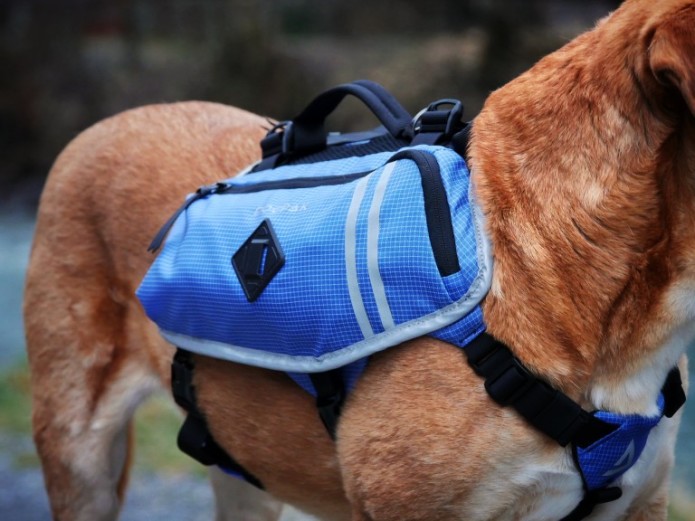 Waterproof Dog Backpack for K9 Rescue & Adventure Indiegogo