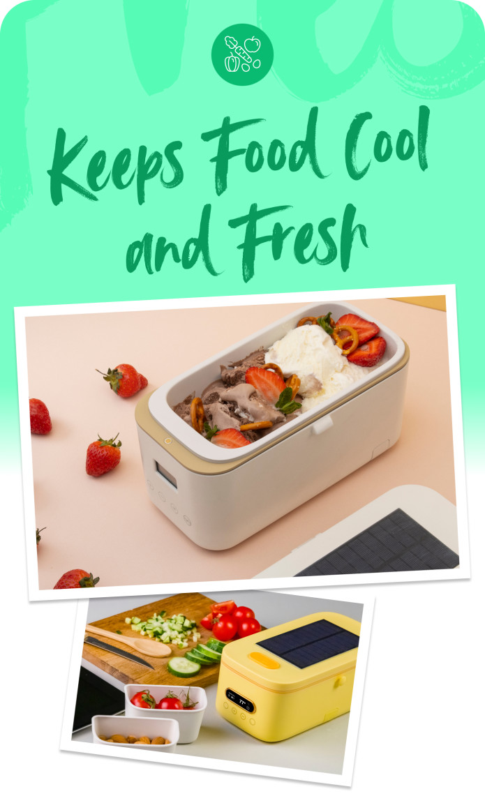 World's Smartest Heating LunchBox