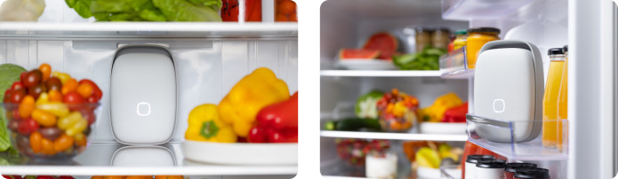 Shelfy smart fridge device improves the shelf-life of your food, removes  odors & more » Gadget Flow