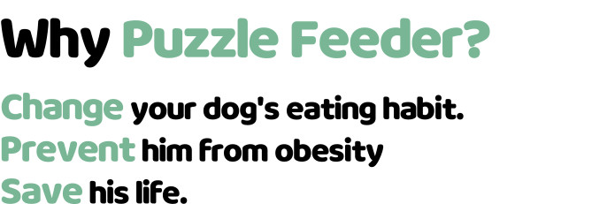 PUZZLE FEEDER - A Eating Habit Changing Device for Your Dog by