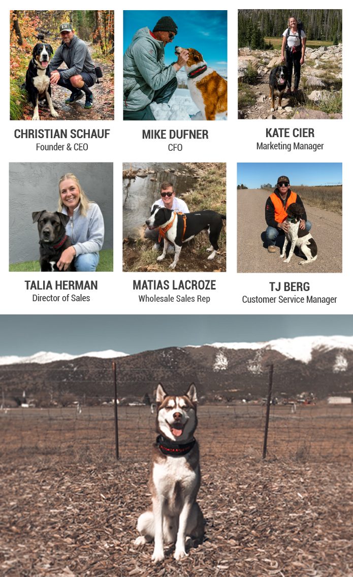 Wolf Pack Dog Collar & Integrated First Aid Kit Indiegogo