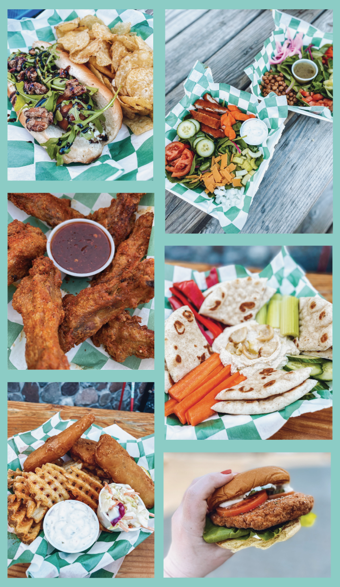 The Painted Turtle at Lake Nokomis Minneapolis Indiegogo