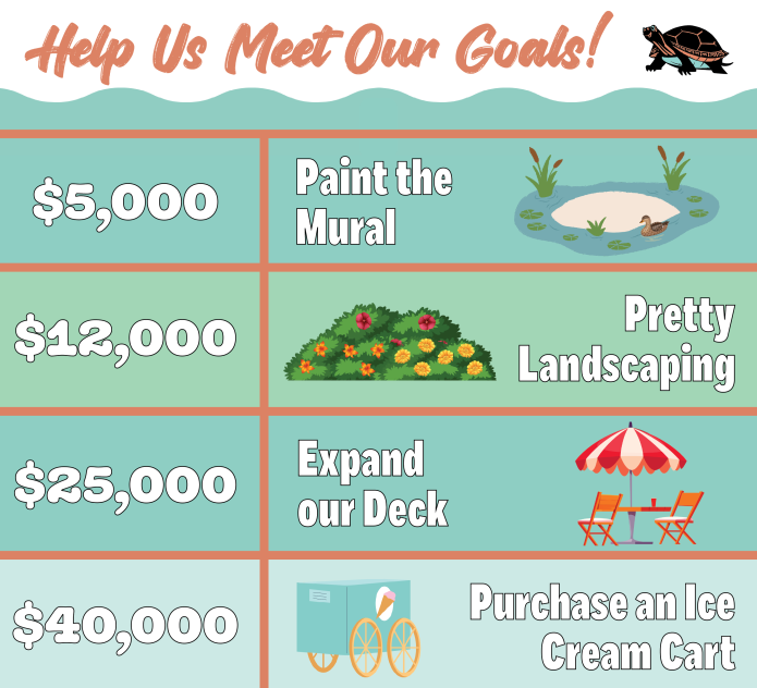 The Painted Turtle at Lake Nokomis Minneapolis Indiegogo