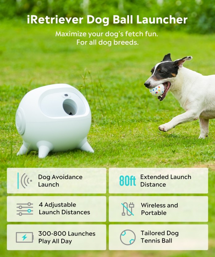 Pet Ball Launcher - Invention Assistant