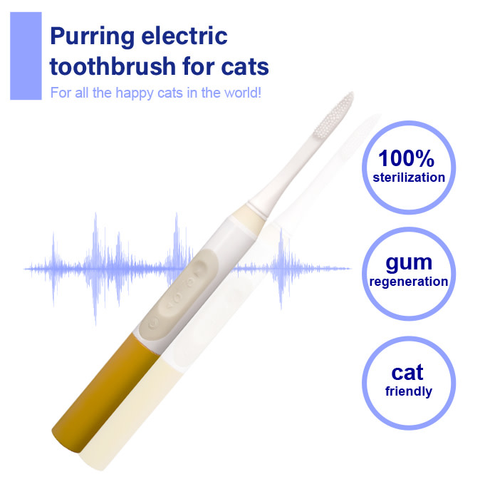 Purring electric toothbrush for cats Indiegogo