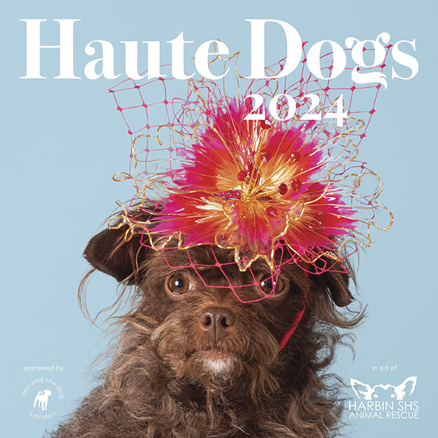 HAUTE DOGS x Harbin SHS Calendar 2024 Indiegogo