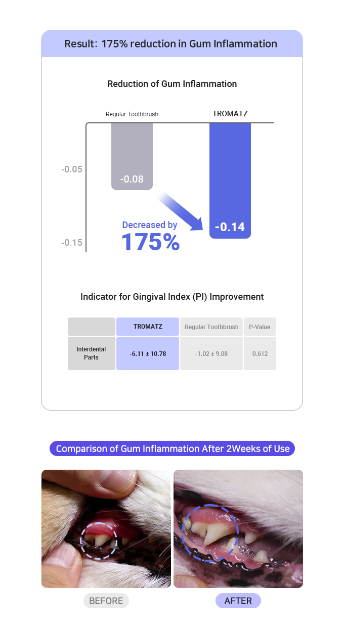 Indiegogo dog toothbrush sale