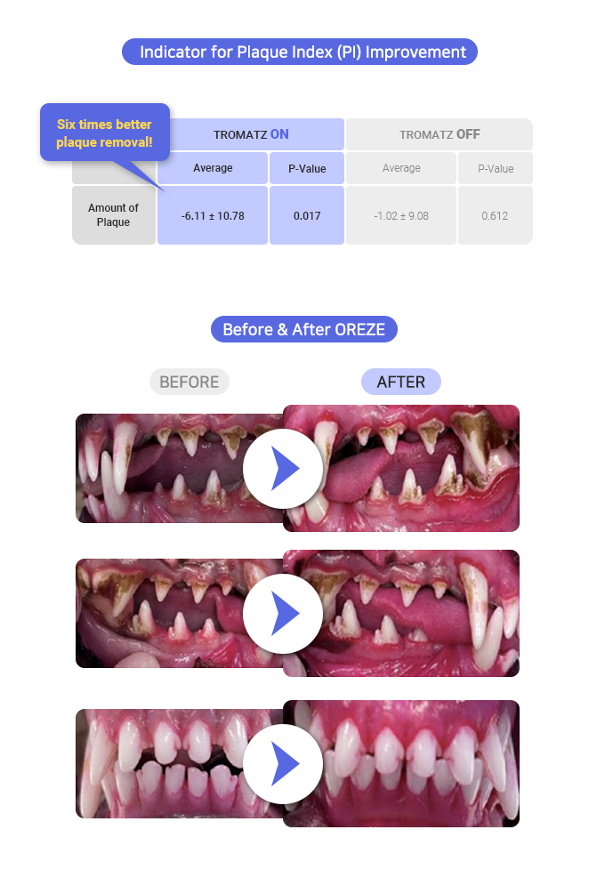 Indiegogo 2024 dog toothbrush