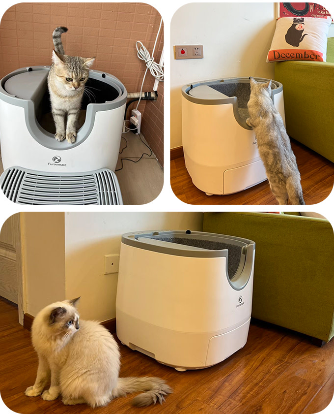 Indiegogo: Update #4 from PETKIT PURA MAX: The Self-cleaning Cat Litter Box
