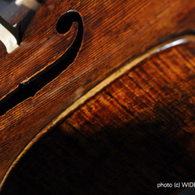 Track Summer Music Study at the Green Mountain Chamber Music Festival