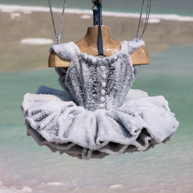 Sigalit Landau Salt Years