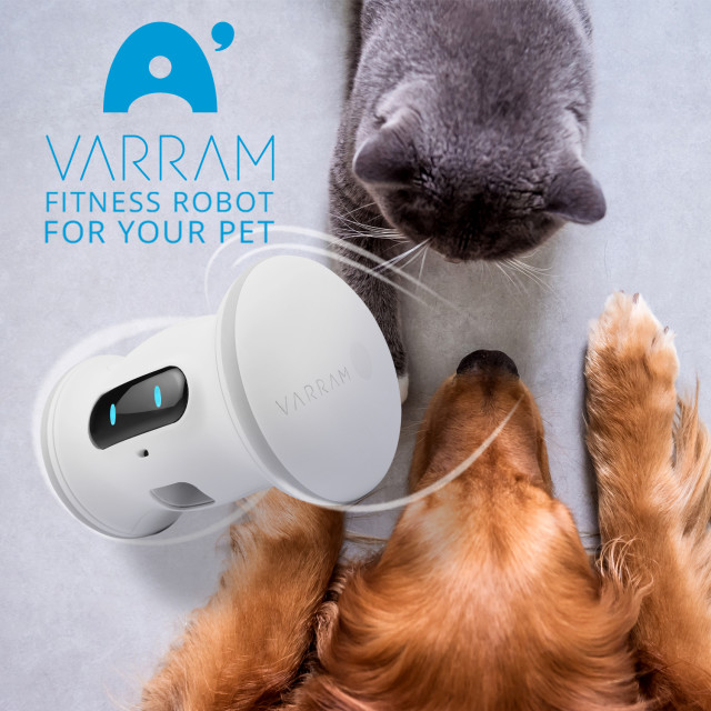 varram pet robot cat