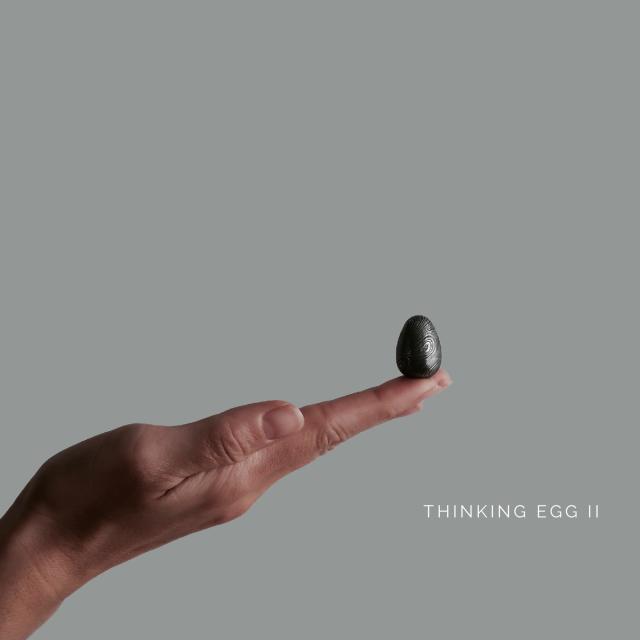 Thinking Egg III: It's Time To Slow Down