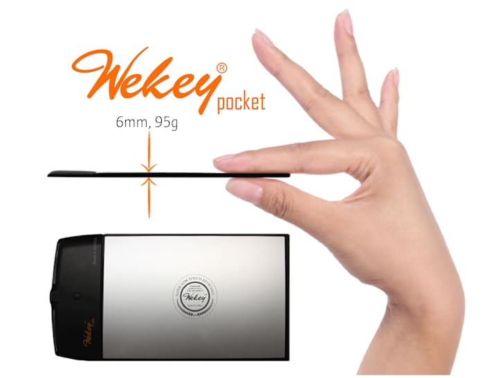 rocket pocket mouse activity rocket pocket mouse activity